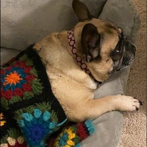 Meet your Posher, Debbie